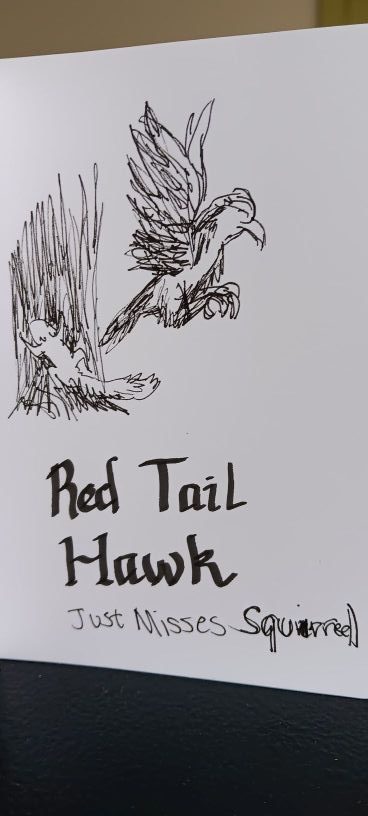 Red Tail Hawk vs Squirrel